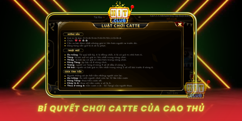Bi Quyet Choi Catte Cua Cao Thu