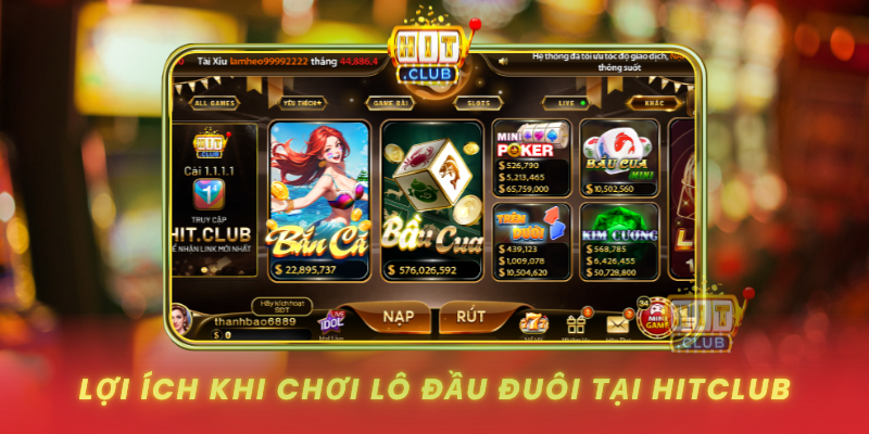 Loi Ich Khi Choi Lo Dau Duoi Tai Hitclub