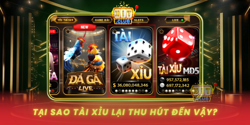 Tai Sao Tai Xiu Lai Thu Hut Den Vay